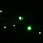 Гірлянда зовнішня Delux STRING 200LED 10m зелений/чорний (10008307) + 2