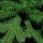 Ялина штучна 2.3 м Triumph Tree Scandia Green (8711473060355) + 2