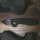 Розкладний ніж SOG Tac AU Compact CA Special Tanto, Black (SOG 15-38-14-57) + 8