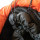 Спальний мішок-кокон Tramp Arctic Regular (-10/-15/-30°С), Orange/Grey, Right (UTRS-048R-R) + 12