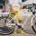Велосипед Graziella Monte Carlo (A00501) + 3
