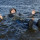 Костюм зимовий плаваючий Norfin Apex FLT (-25 °) р.4XL (435007-XXXXL) + 7