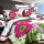 Комплект постільної білизни полуторний Arya сатин 3D 160x220 colorful daisy (m008987) + 1