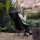 Туристичне розкладне крісло Naturehike YL06 Alu Folding Moon Chair NH18Y060-Z, Black (6927595733608) + 1