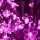 Світлодіодне дерево Welfull Квітуча сакура 96 LED рожевий (007-T-FL_Sakura-0,6м-P) + 1