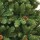 Ялина штучна з шишками 2.15 м Triumph Tree Empress Green (756770880174) + 4