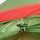 Намет тримісний Tramp Lite Tourist 3 (Green/Red) (TLT-002-olive) + 10