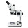 Мікроскоп Sigeta MS-220 7x-180x LED Trino Stereo (65239) + 4