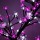 Світлодіодне дерево Welfull Квітучий бонсай 64 LED біло-рожевий (007-T-FL_Sakura-0,45м-WP) + 1